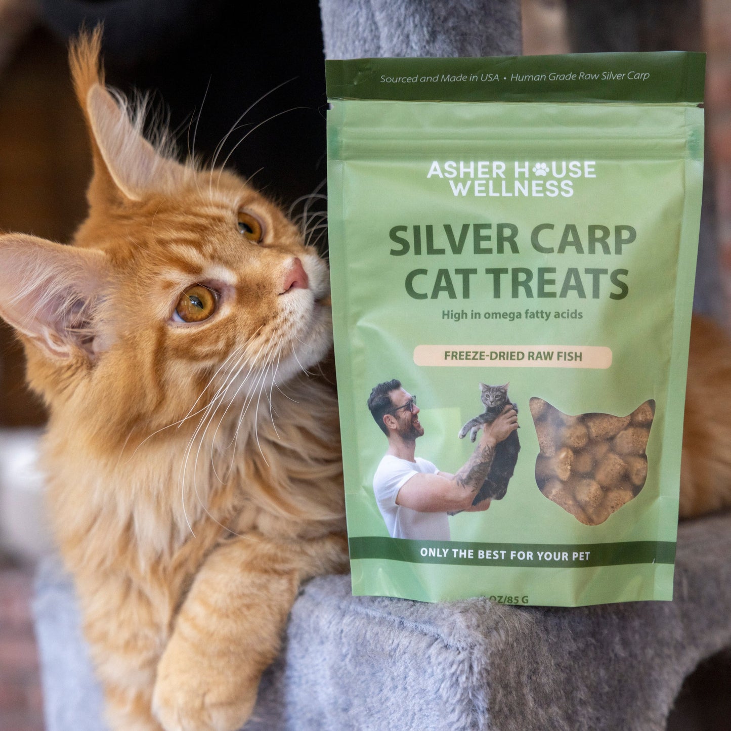 Freeze Dried Silver Carp Cat Treats