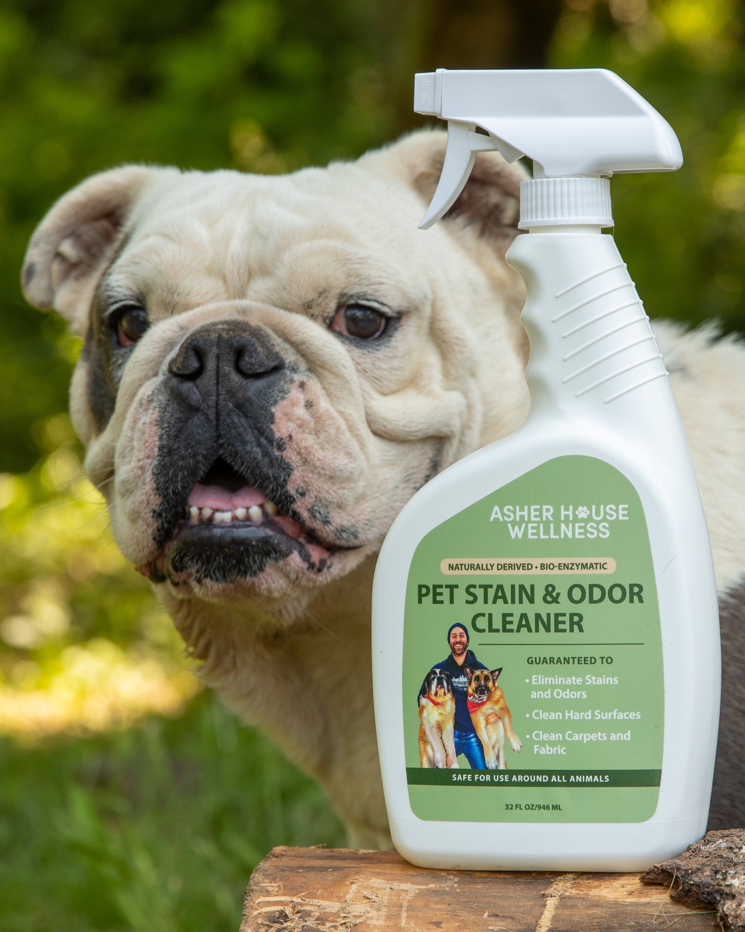 Cleaning and Pets: How to Get Rid of Odors and Stains