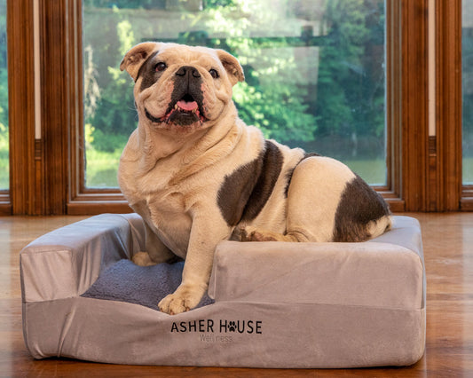 Orthopedic Dog Beds (2 Sizes)